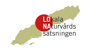 Logotyp LONA.png