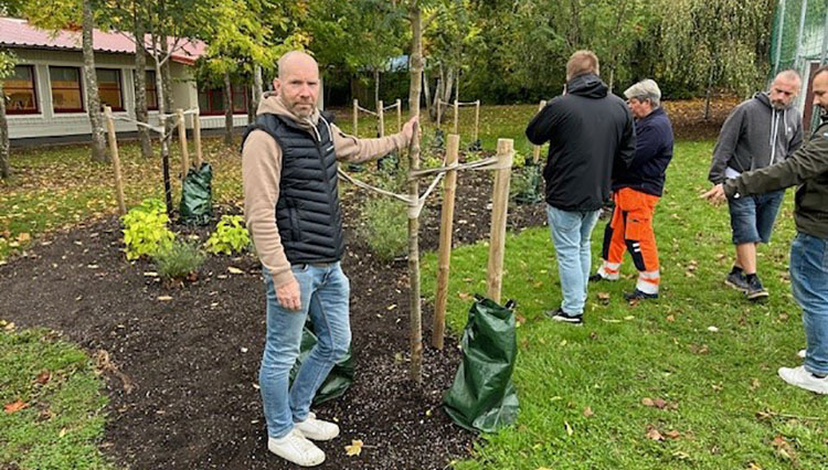 Rektor Claes Hellborg besiktigar nya träd och buskar på Lyrfågelskolan.