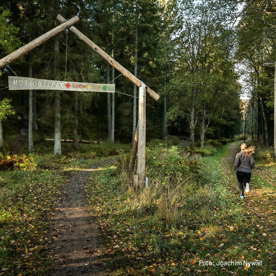 Kvinna som joggar på elljusspår i skogen.