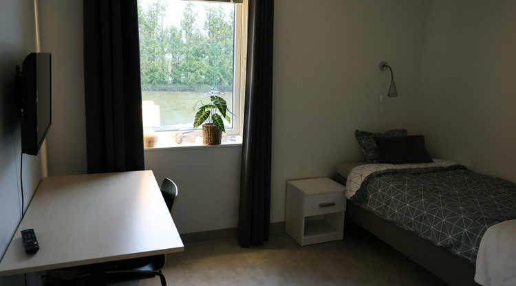 Sovrum med säng, tv och bord intill fönster.