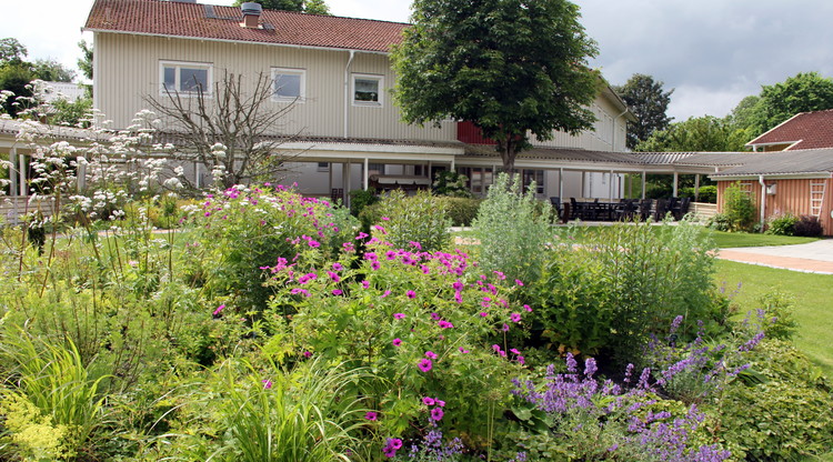 En stor rabatt med flera olika blommor i olika färger. I bakgrunden skymtas ett hus, ett träd och en uteplats.