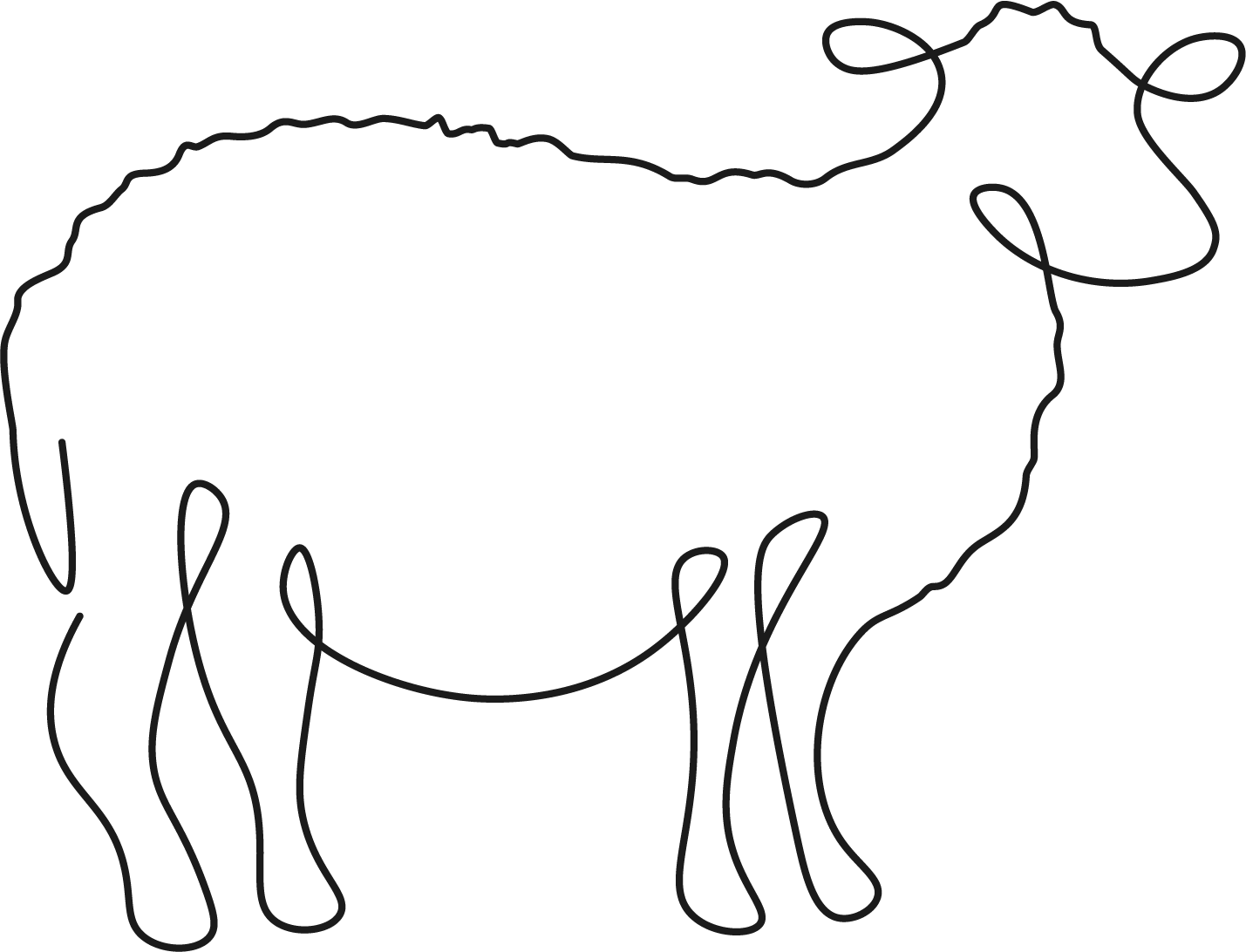Illustration på ett får