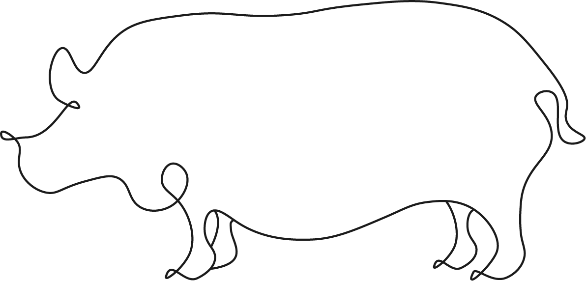 Skissad illustration på en gris