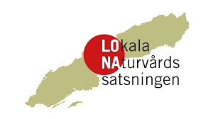 Logotyp LONA