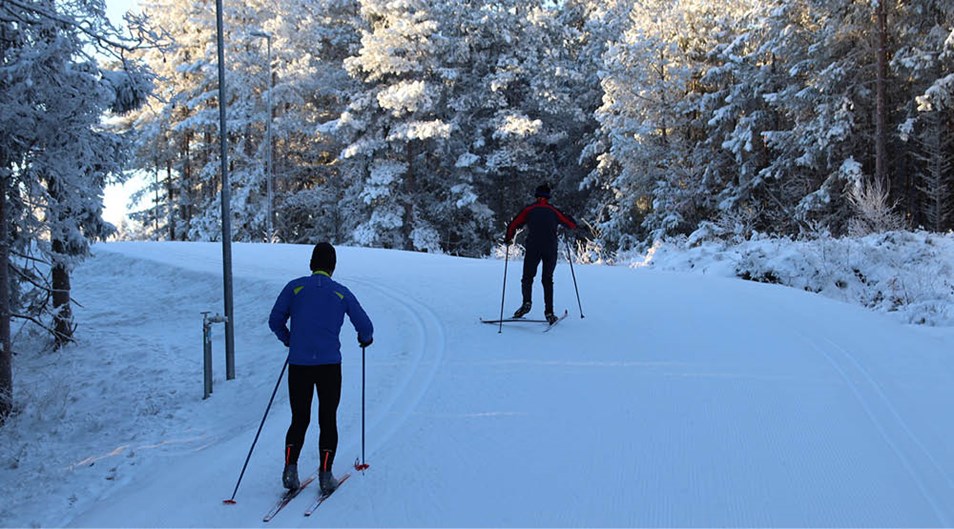 Två längdskidåkare i uppförsbacke.