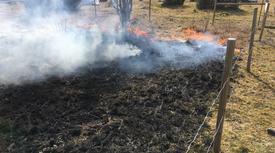 Pågående naturvårdsbränning, gräs som brinner inom ett avgränsat område. 