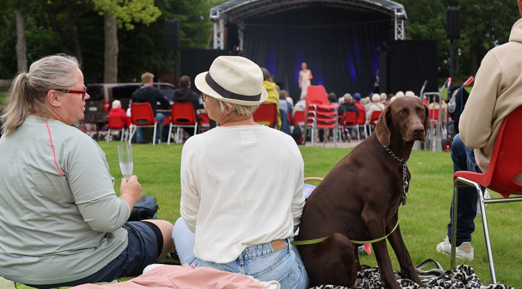 Personer sitter på picknickfilt under konsert i en park